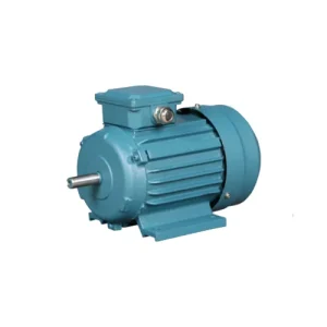 Marine YS-H Series Three-Phase Induction Motor