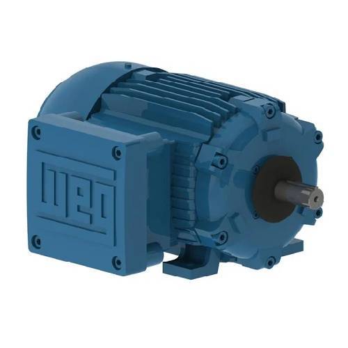 Explosion Proof Motor